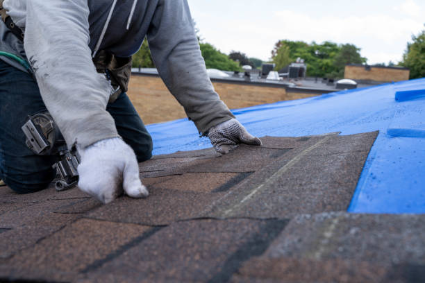 Best Commercial Roof Installation  in Reedsville, WI